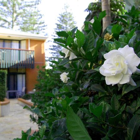 The Crest Byron Bay Aparthotel Eksteriør bilde